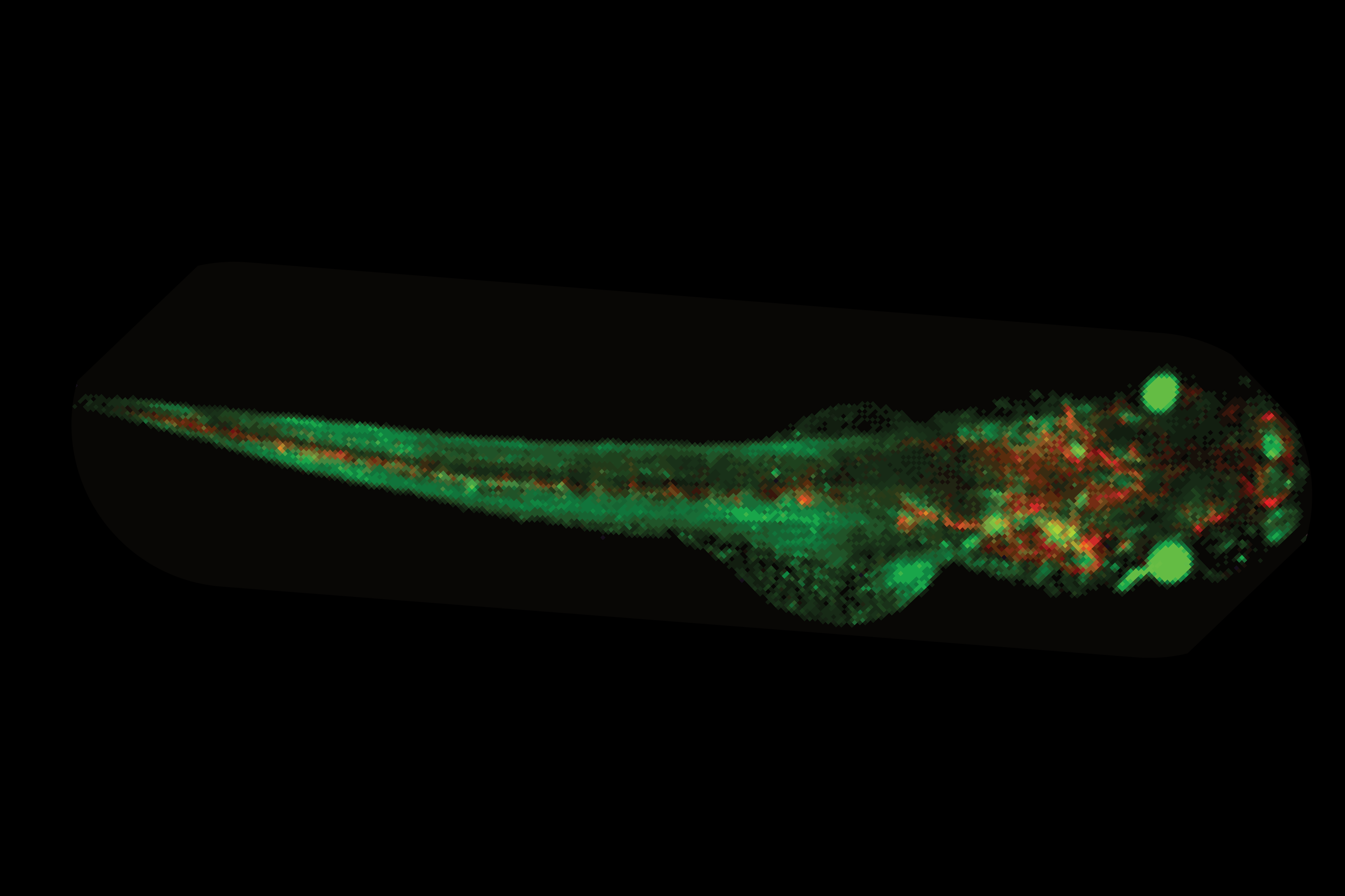 1-5 Light Sheet Microscopy