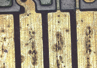 Stereo Microscope Image -Circuit Board