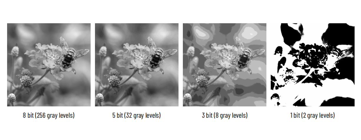 Bit Depth in Scientific Cameras: How It Impacts Image Quality and Data Accuracy