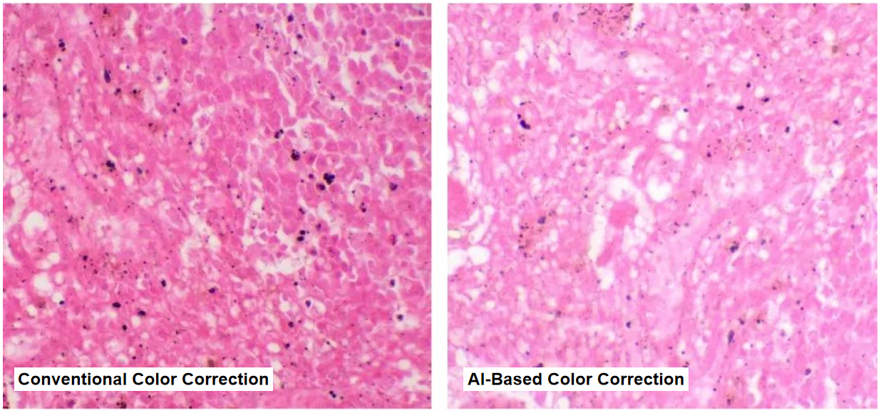 Conventional Color Correction vs. AI-Based Color Correction