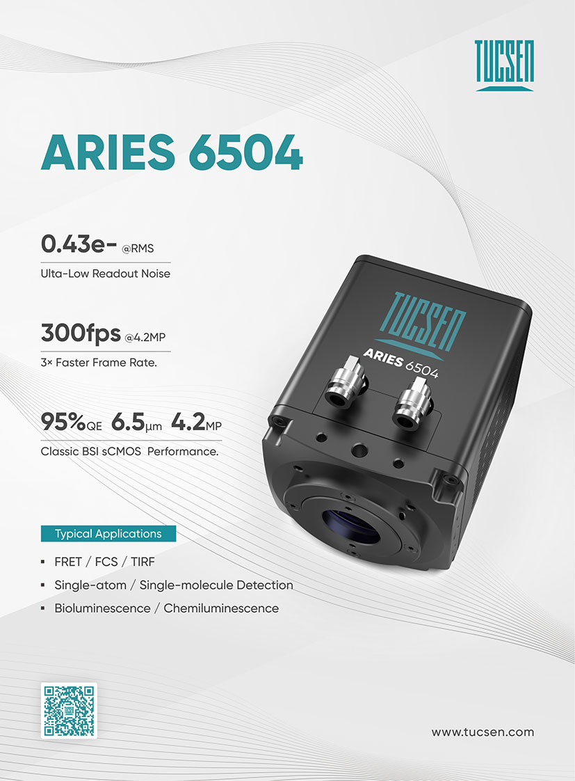 Aries 6504 scmos camera