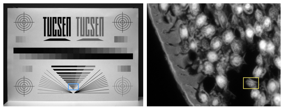 Signal-to-Noise Ratio in Scientific Cameras: Why It’s Critical