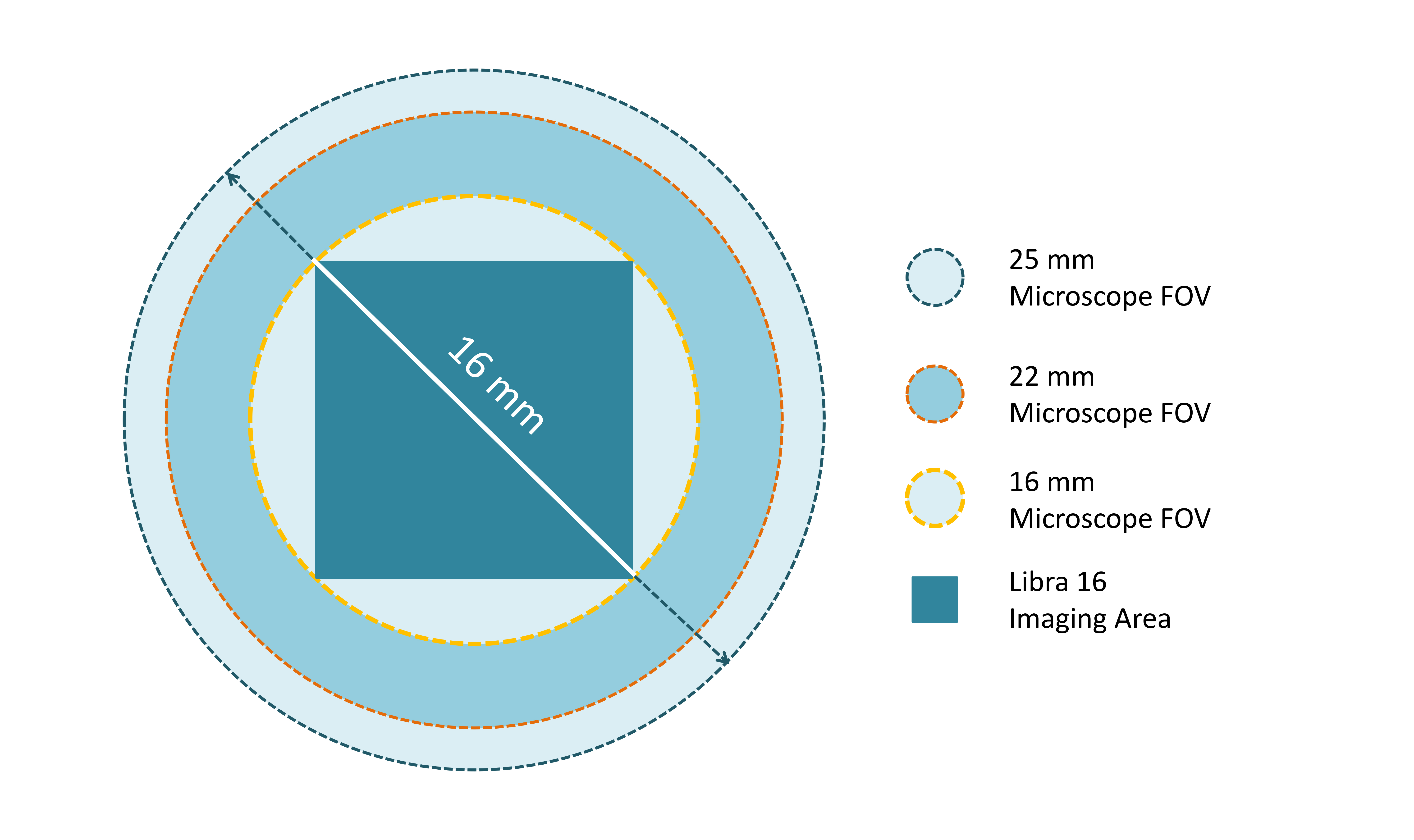 Large Format / High Resolution