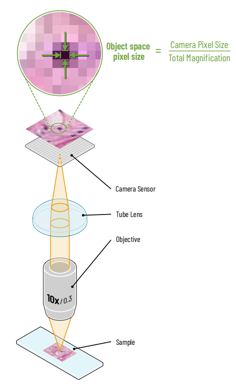 Microscope lightpath and object space pixel size definition