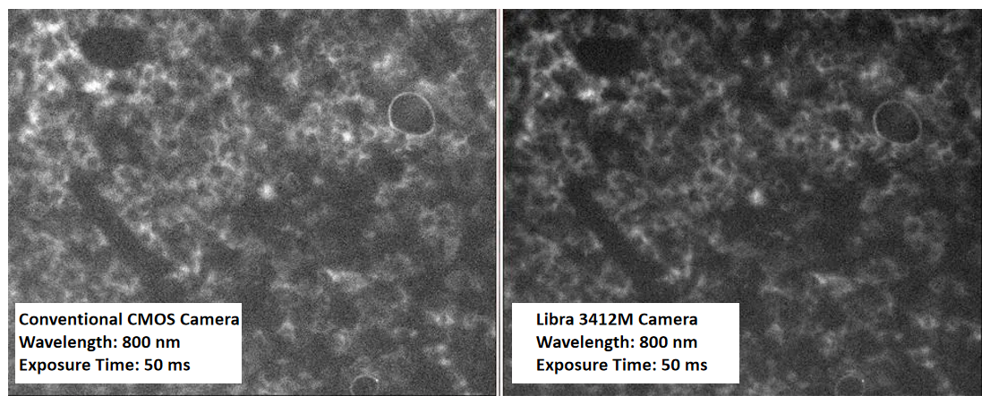 Near-Infrared Imaging Comparison - Libra 3412M vs. Conventional CMOS