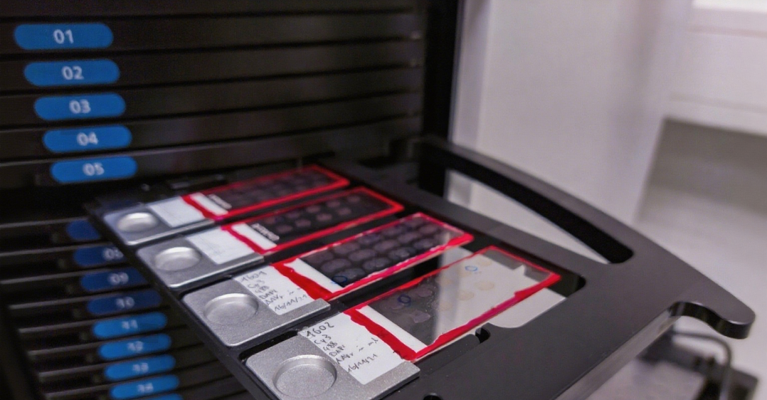 Libra 3405/3412 Launch: A Cost-Effective Solution for High-Throughput Pathology System Upgrades