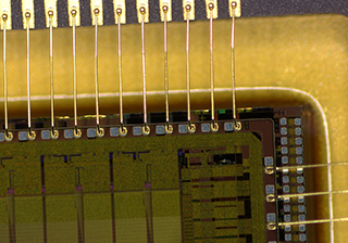 Stereo microscopic image – Sensor Chip