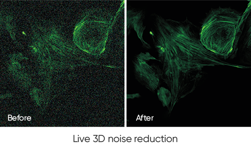 Real-time Intelligent Image Processing, Focused on Improving Image Quality