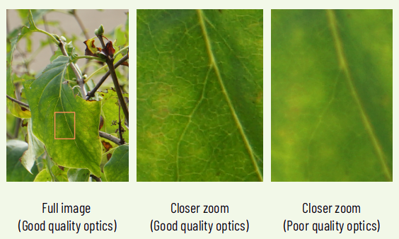 Lenses and Optics in Scientific Cameras: Everything You Need to Know