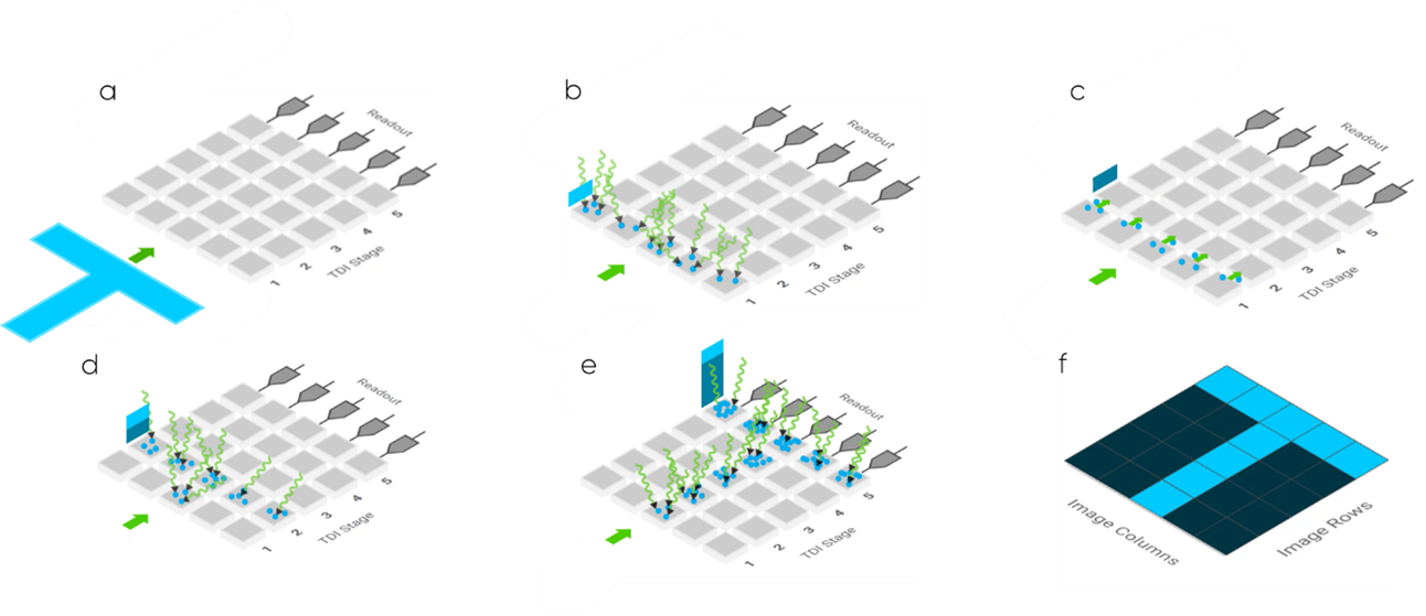 A Challenge to area scan? How TDI could 10x your image capture